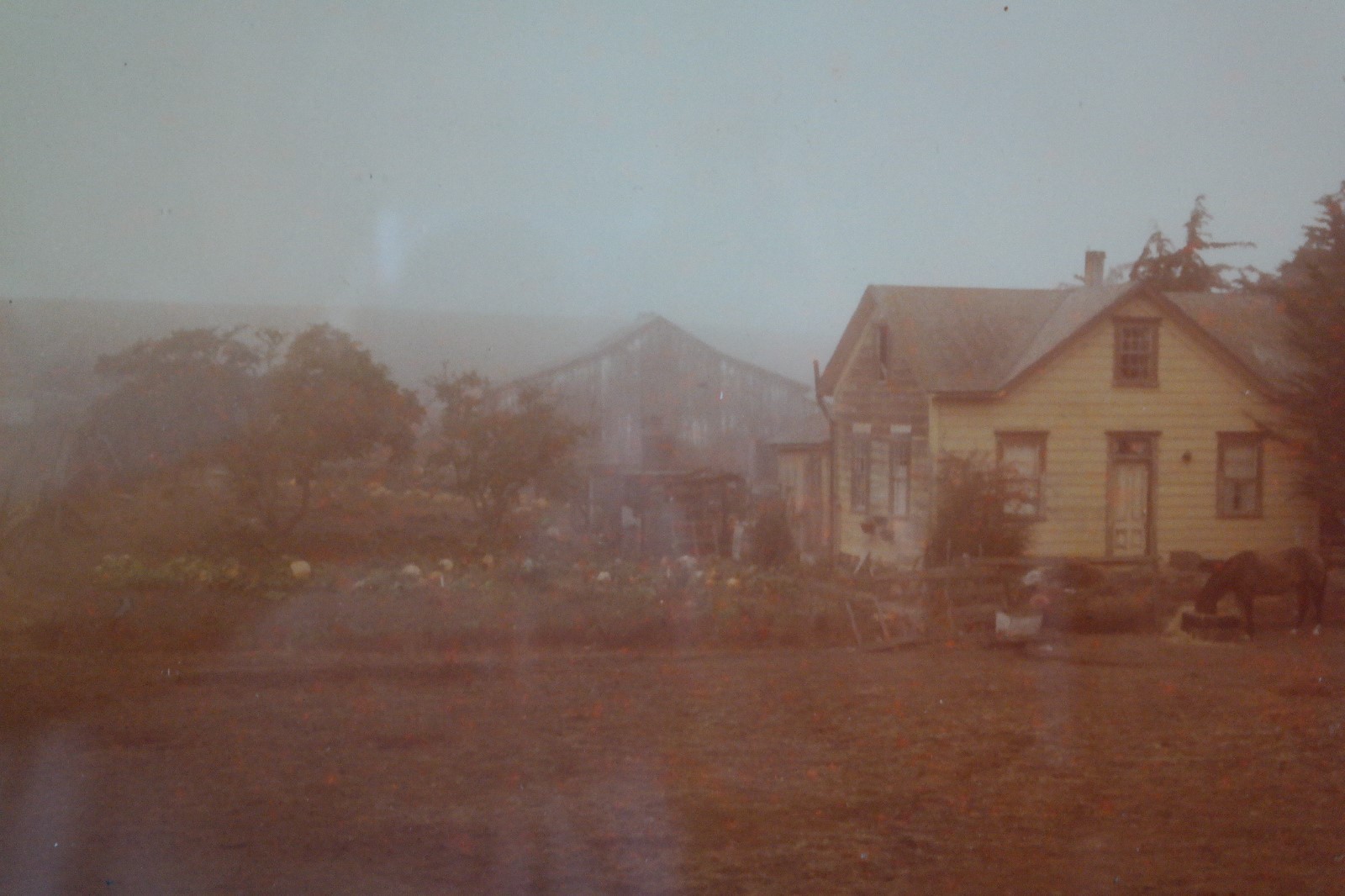 Takao Wakida California Country Side Scene Original Photography Signed & Framed