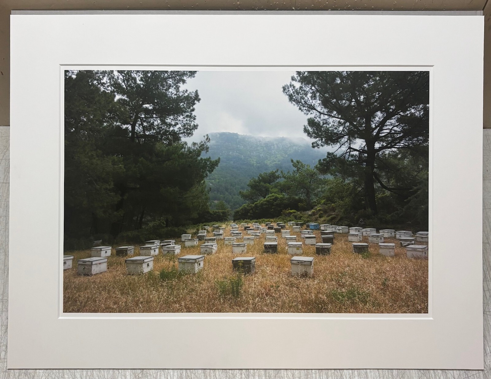 Vintage 2018 SUSANNAH HAYS ‘Bee Boxes Hives’ Datca TURKEY Landscape PHOTO