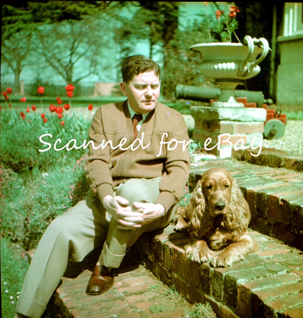 45 NEGATIVES IN ALBUM RICH COUPLE & BOYS AT HOME & GARDEN 1941-56 FASHIONS