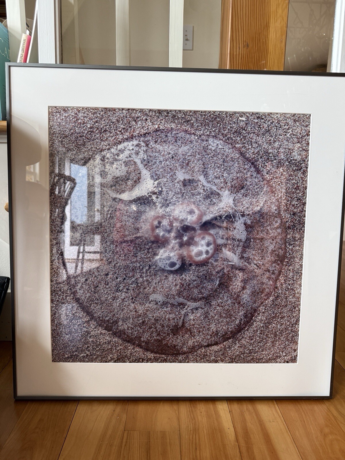 Susan Hockaday Photograph