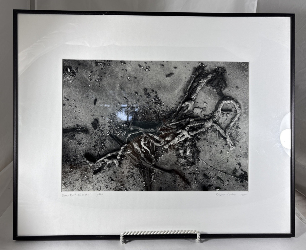 Karen Twiss Krider Signed Photography Limited Edition 1/50 Print Hemp Bird Art