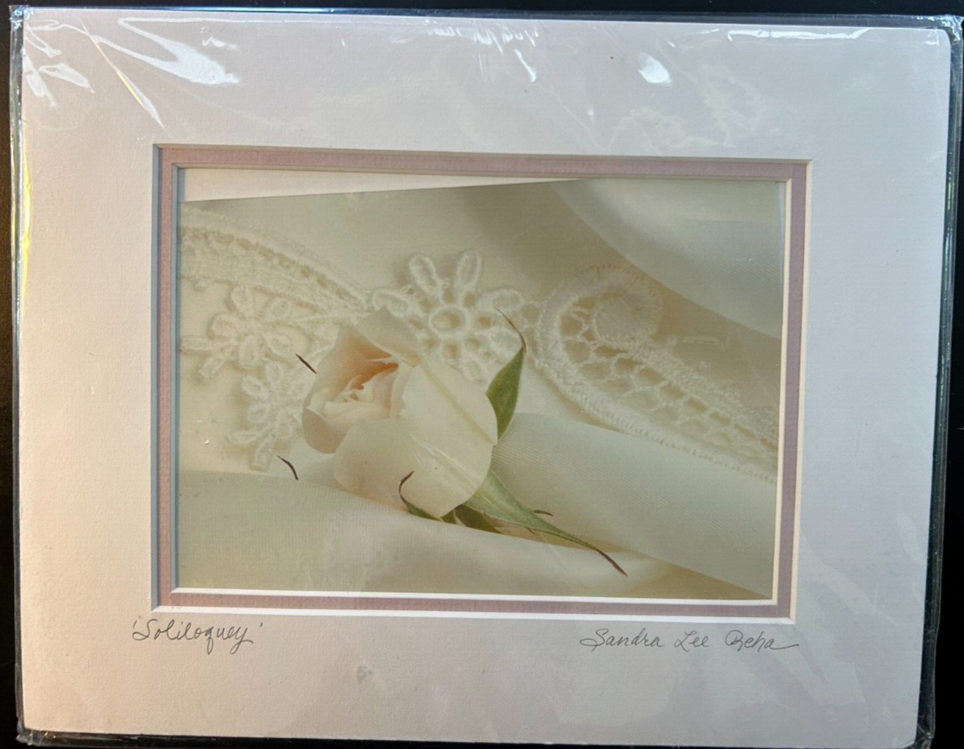 Sandra Lee Reha Fine Art Photo (Soliloquy) Rose Picture ( 9 x 12 Matted Signed