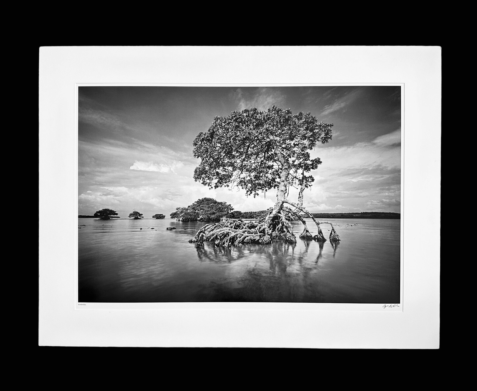 Clyde Butcher Gaskin Bay Everglades National Park Florida 22×34