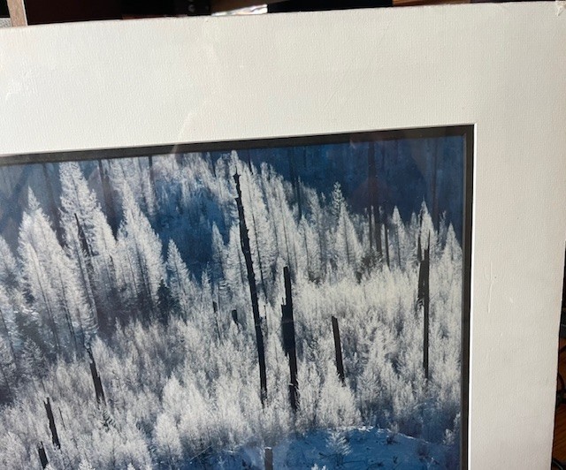 Carl R Sams – Limited Edition – Signed/Numbered – Winter Forest Landscape