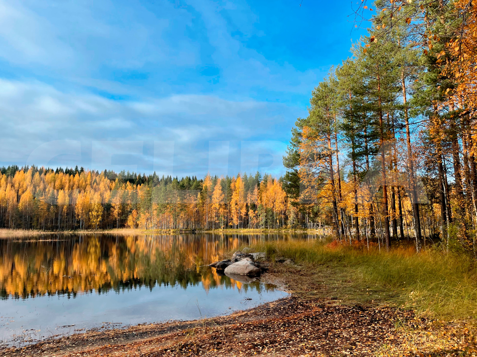 Photo Digital Product Wallpaper Image Picture Background Desktop Art -Lake.Fores