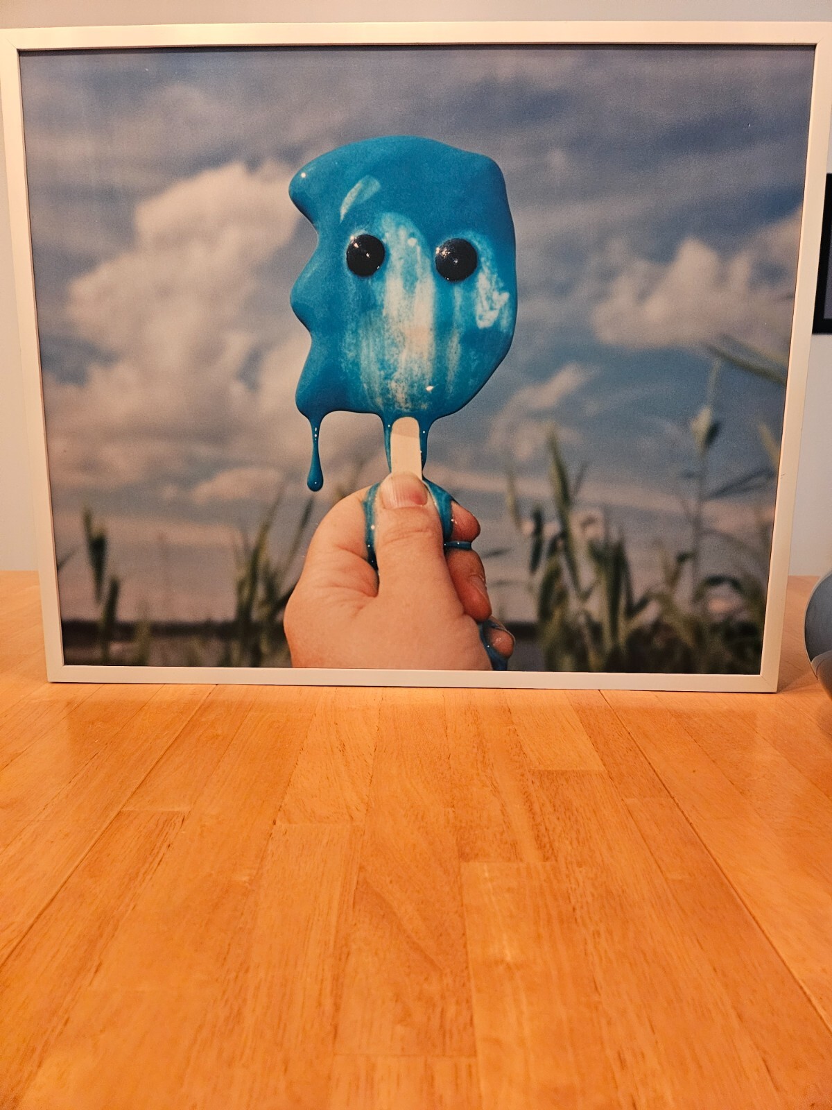 Contemporary Photo Art by Meredith Allen – Melting Ice Pops
