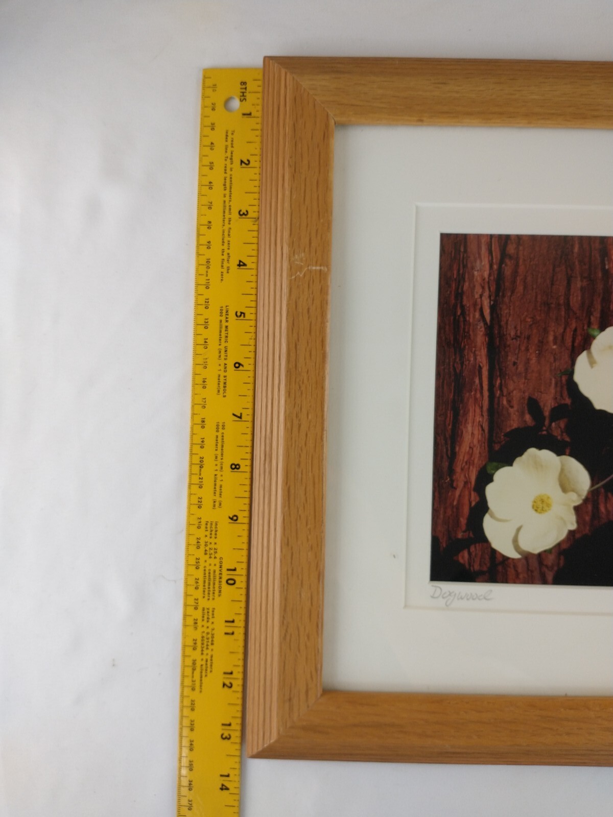 Signed Christine Loberg Dogwood Redwood Tree Photo Print Framed w/ Dedication