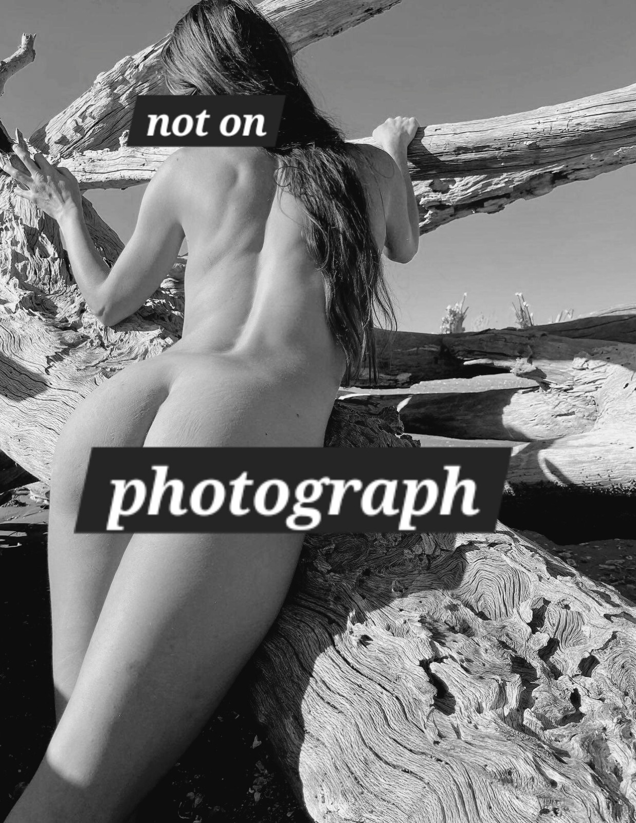 Set of 3 Fine art nude woman outdoors driftwood beach b&w photographs 4×6 glossy