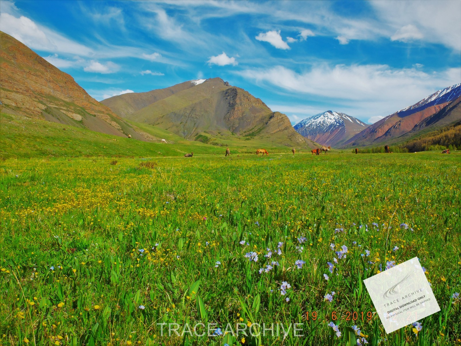 Nature Landscape Photography | Digital Download Image – Background Wallpaper L29