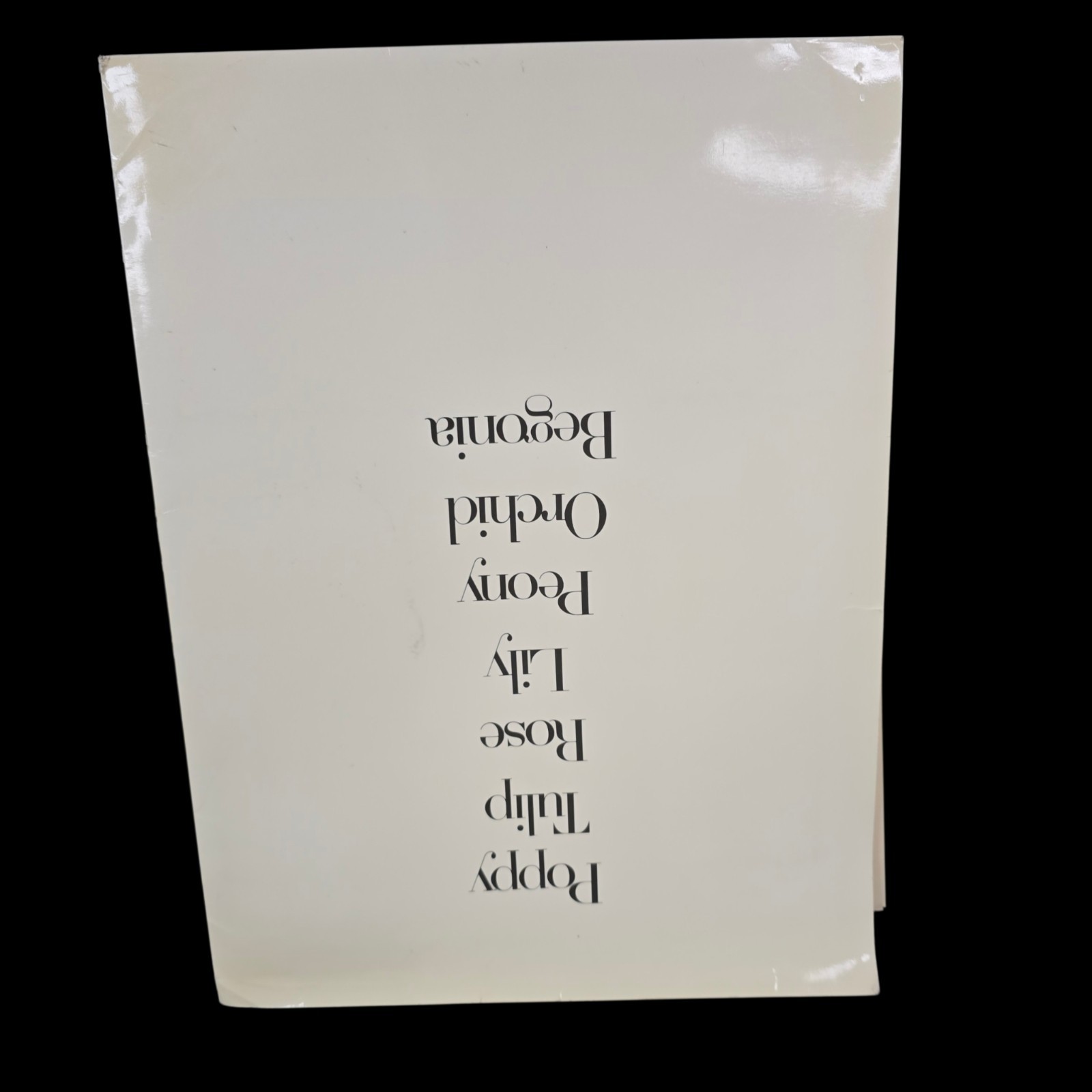Irving Penn Flowers Press Release With Photos