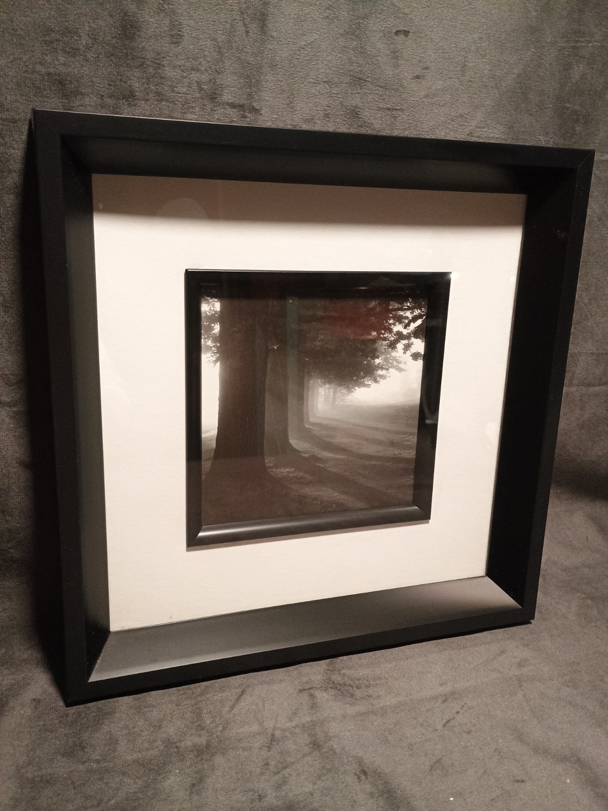 2 Modern Black & White Photography Trees Minimalist Moody 11.25 ” Square Frames