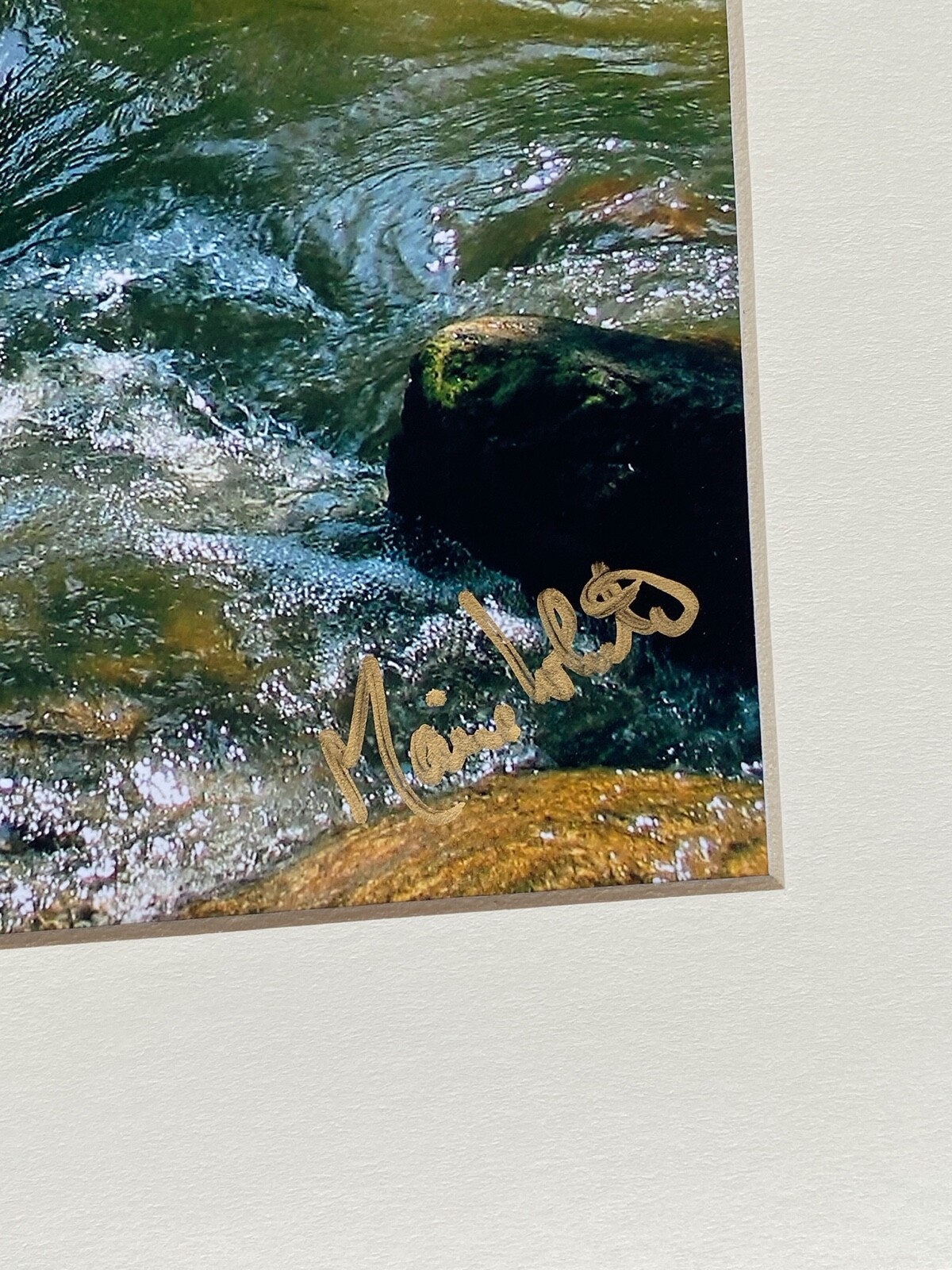 11 X 14 Photo in matte – signed by photographer Marie Whitton- NORTH CAROLINA