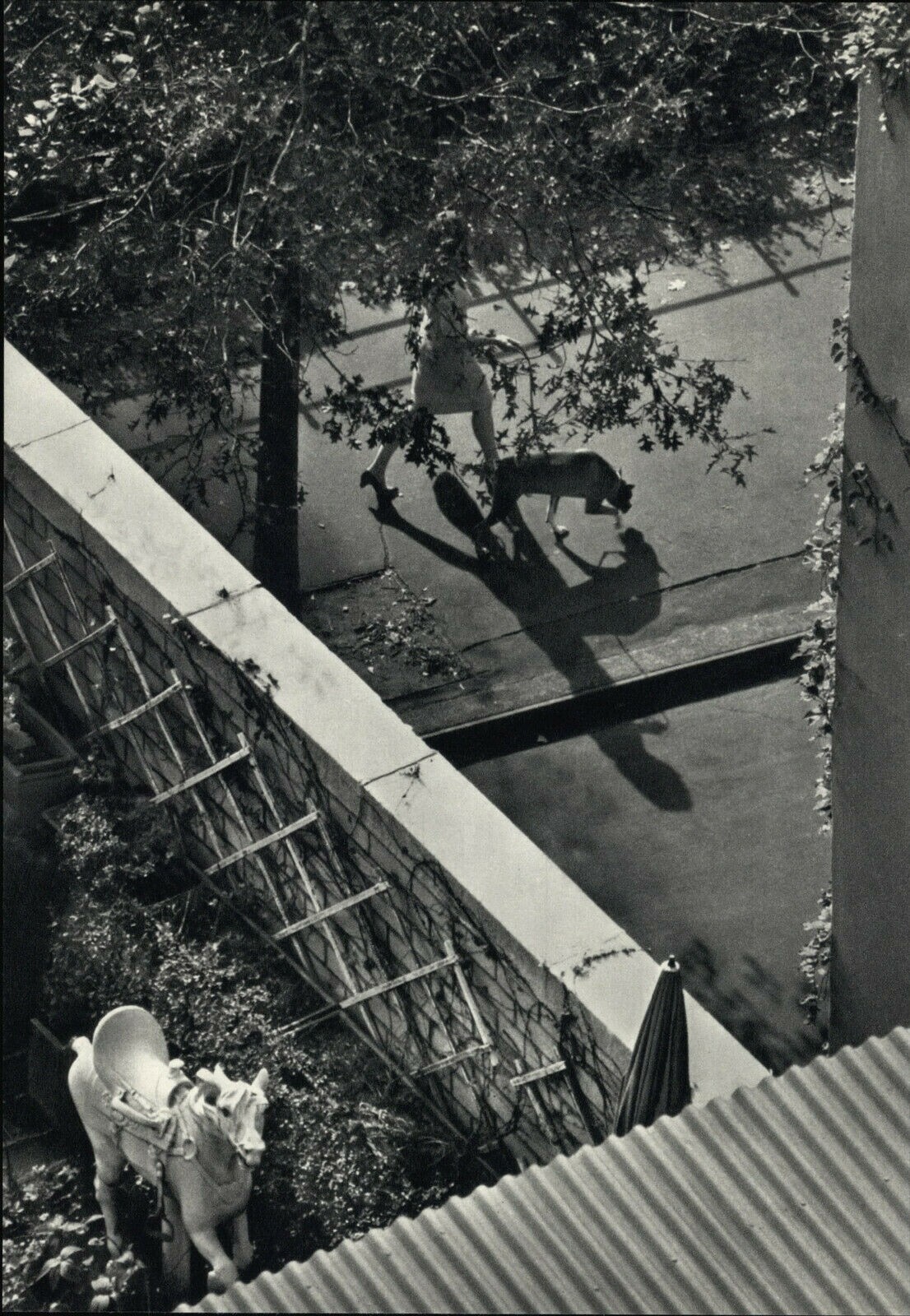 1962 1972 Andre Kertesz The White Horse Secret Garden Art Photo Photogravure