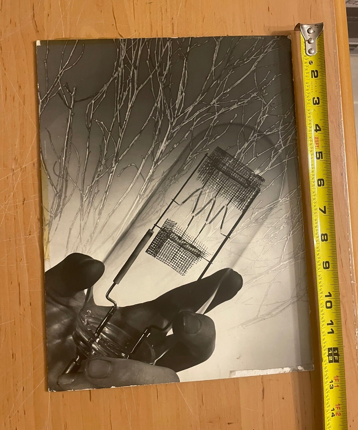 Vintage Photo Nicola Tesla? Electric Light Bulb Science 12+9 In Edison?