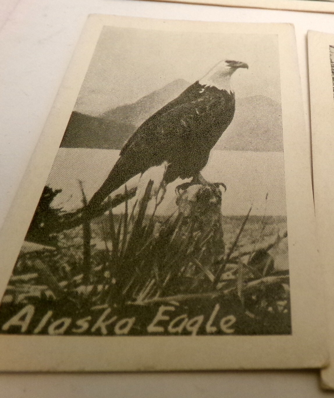 RARE Antique ALASKA Miniature Photos Eskimo Indian KETCHIKAN US MAIL Pouch