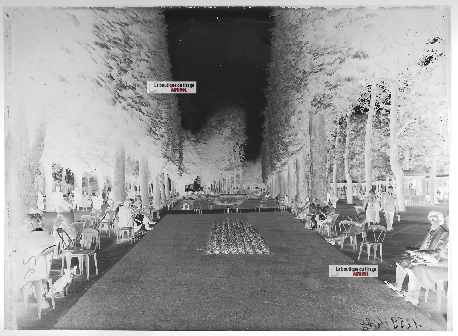 Old Black And White Photo Glass Plate Negative 13X18 Cm Old Vichy Park