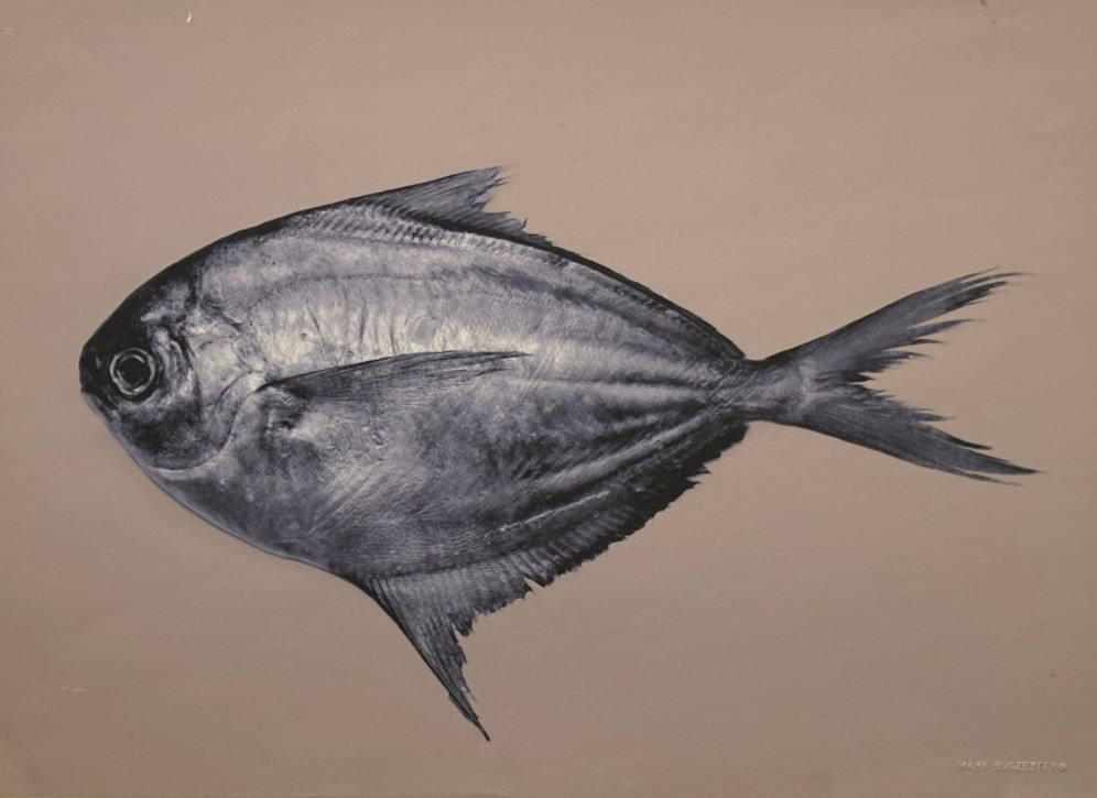 Fish on Tan Background Archival Digital Pigment Print Photograph-Mark Bugzester