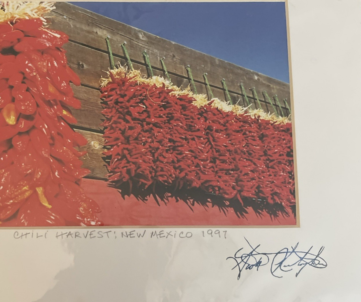 Chili Harvest New Mexico Photograph 1997 Scott Elizabeth Christopher Framed