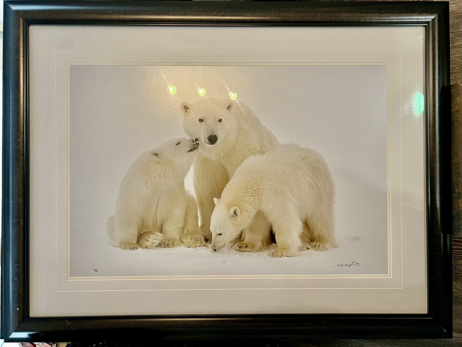 Thomas D. Mangelsen Signed Polar Bear Limited Edition 761/1200 Photograph Art