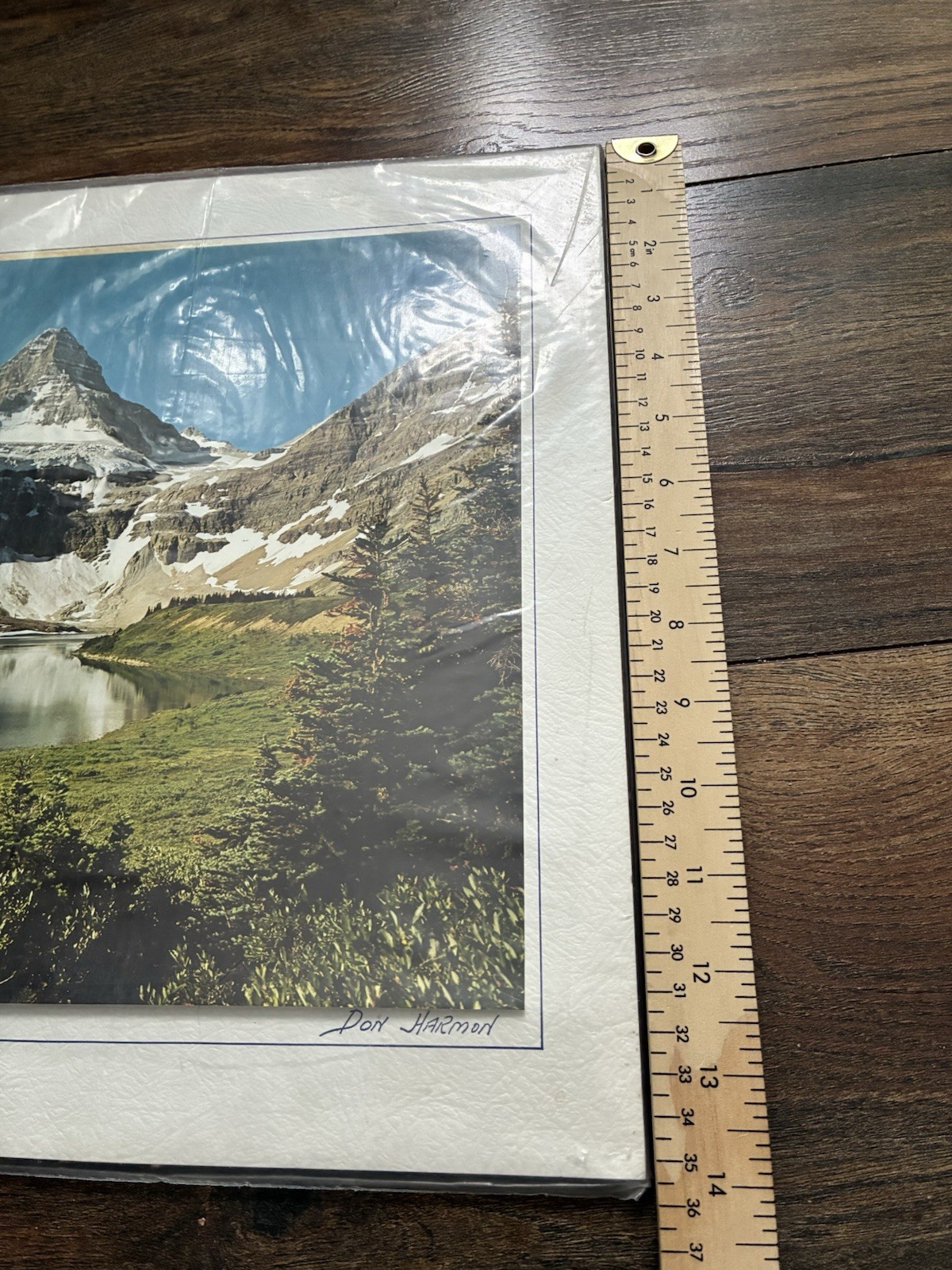 Photo Don Harmon Signed ‘Mount Assiniboine’ Photograph (11”x14”) 14”T 16”W
