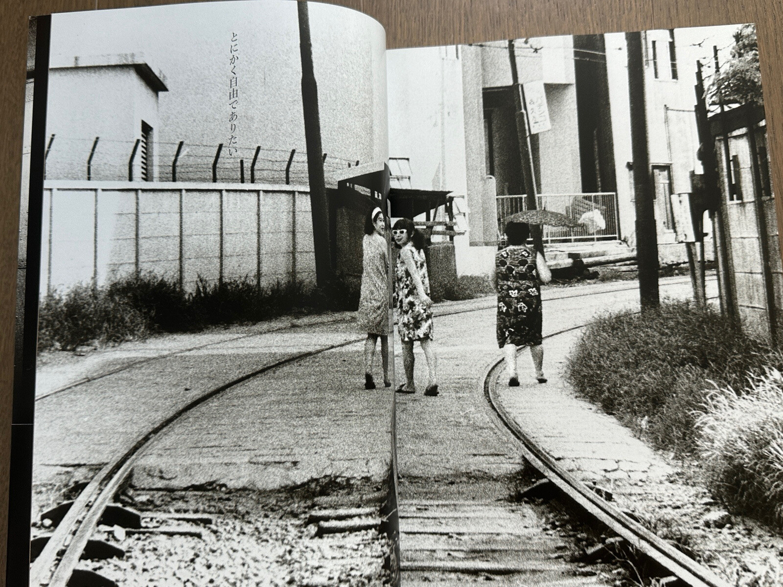 🎈NEW! Daido Moriyama – Memories of Light, Shimane Art Museum (Shimane, Japan)