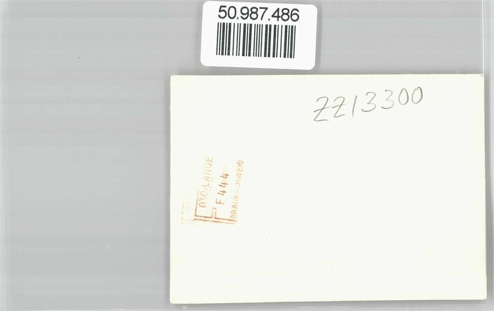 50987486 – Roma Palazzo Venezia Rome (Roma)