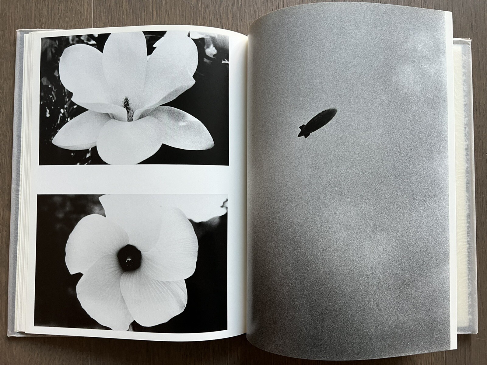 MEGA RARE! Daido Moriyama – Imitation, 1995 Limited Edition, Numbered, Sale!
