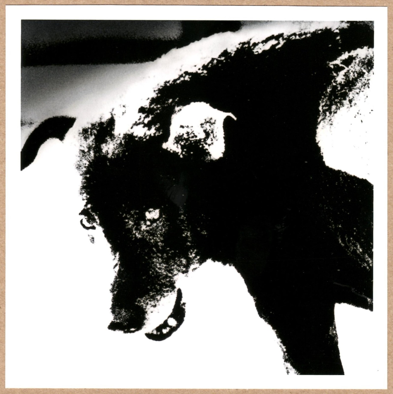 SIGNED DAIDO MORIYAMA Misawa Aomori Japan 1991 LTD 6 x 6 MAGNUM PRINT