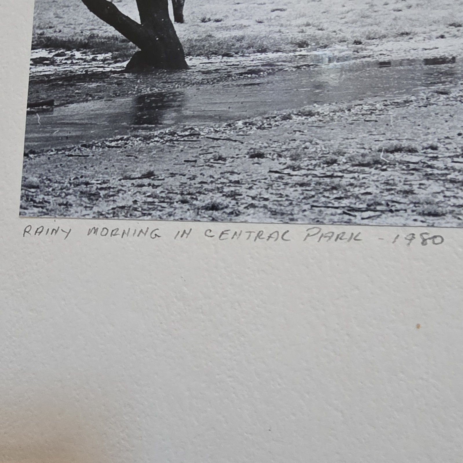 The Photographer Has Passed”Rainy Morning in Central Park” Signed B&W Photo 1980