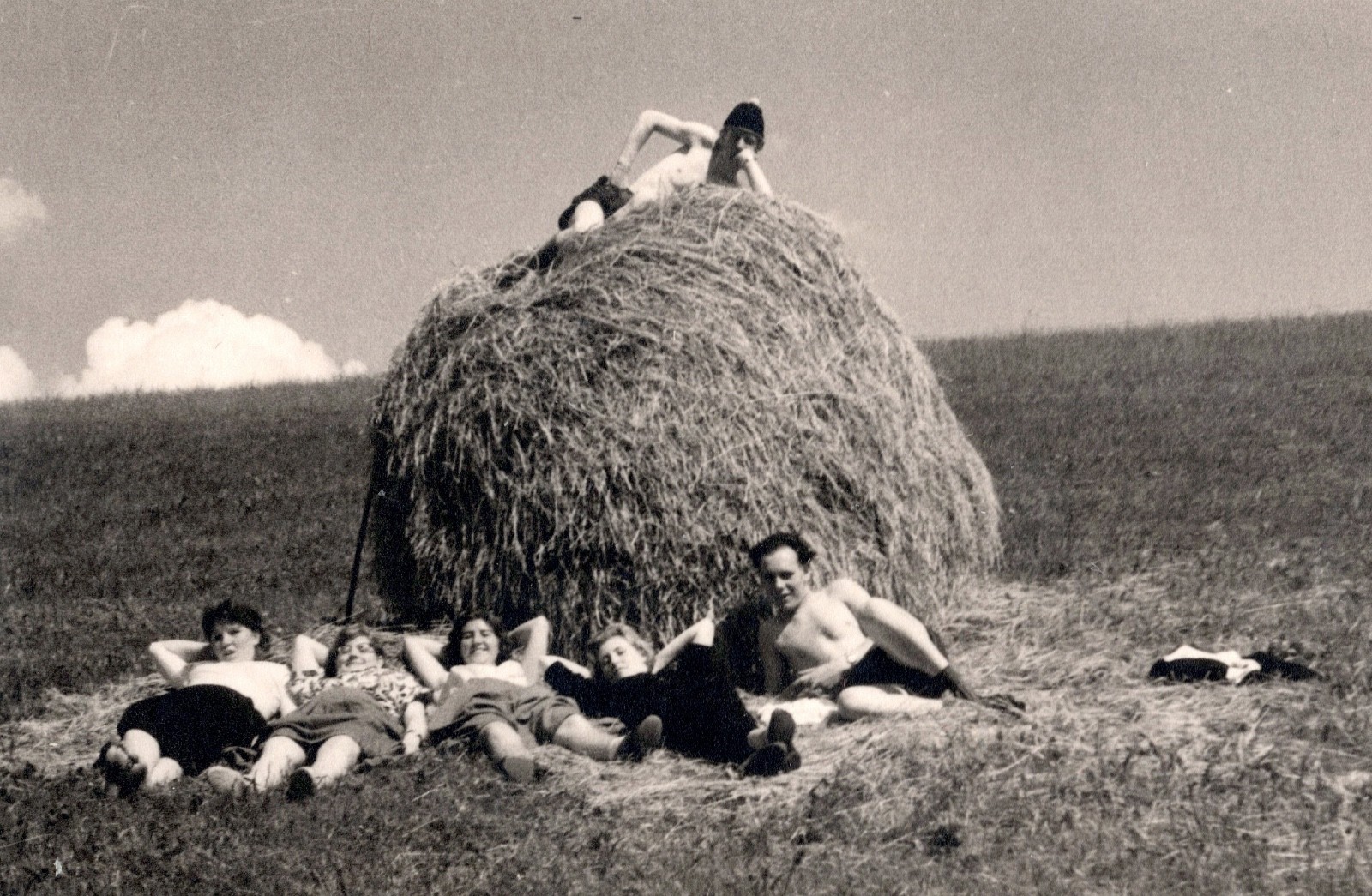 Photography Hay Harvest Leisure Photo Young People Baling Hay (K1060)