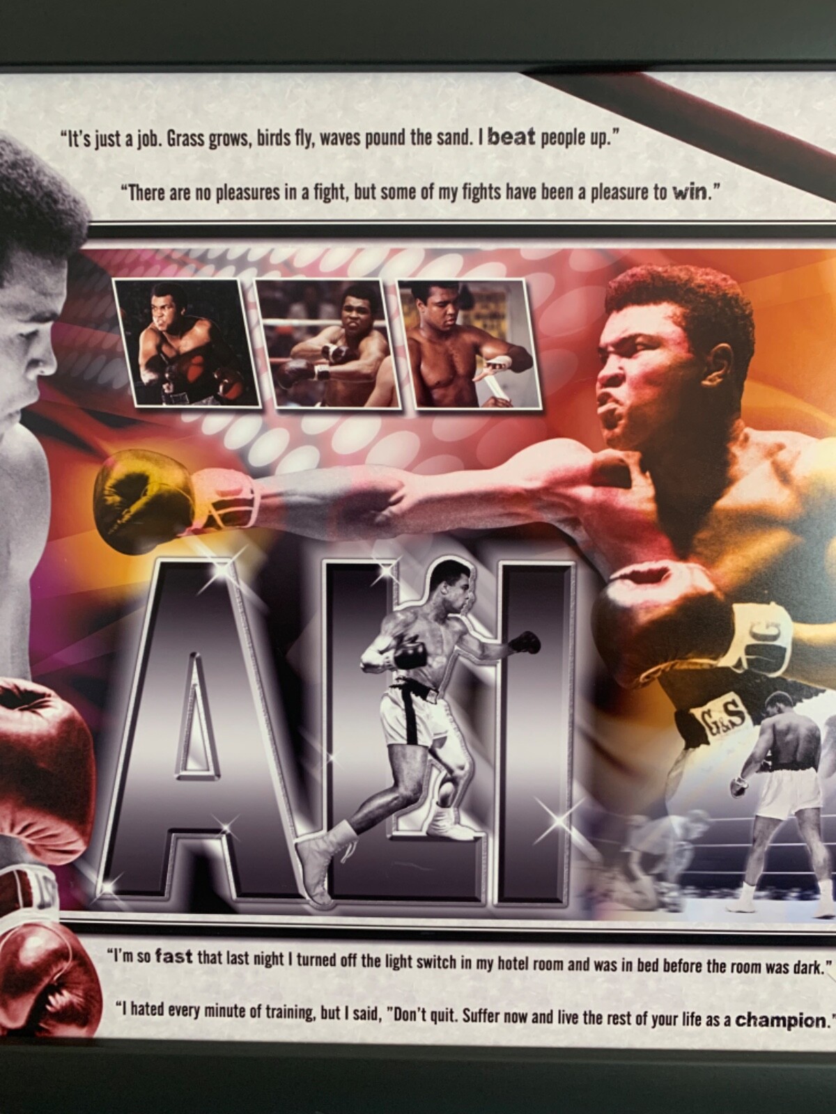 Muhammad Ali Signed 14×38 Limited #31/200 Online Authentics Hologram ART