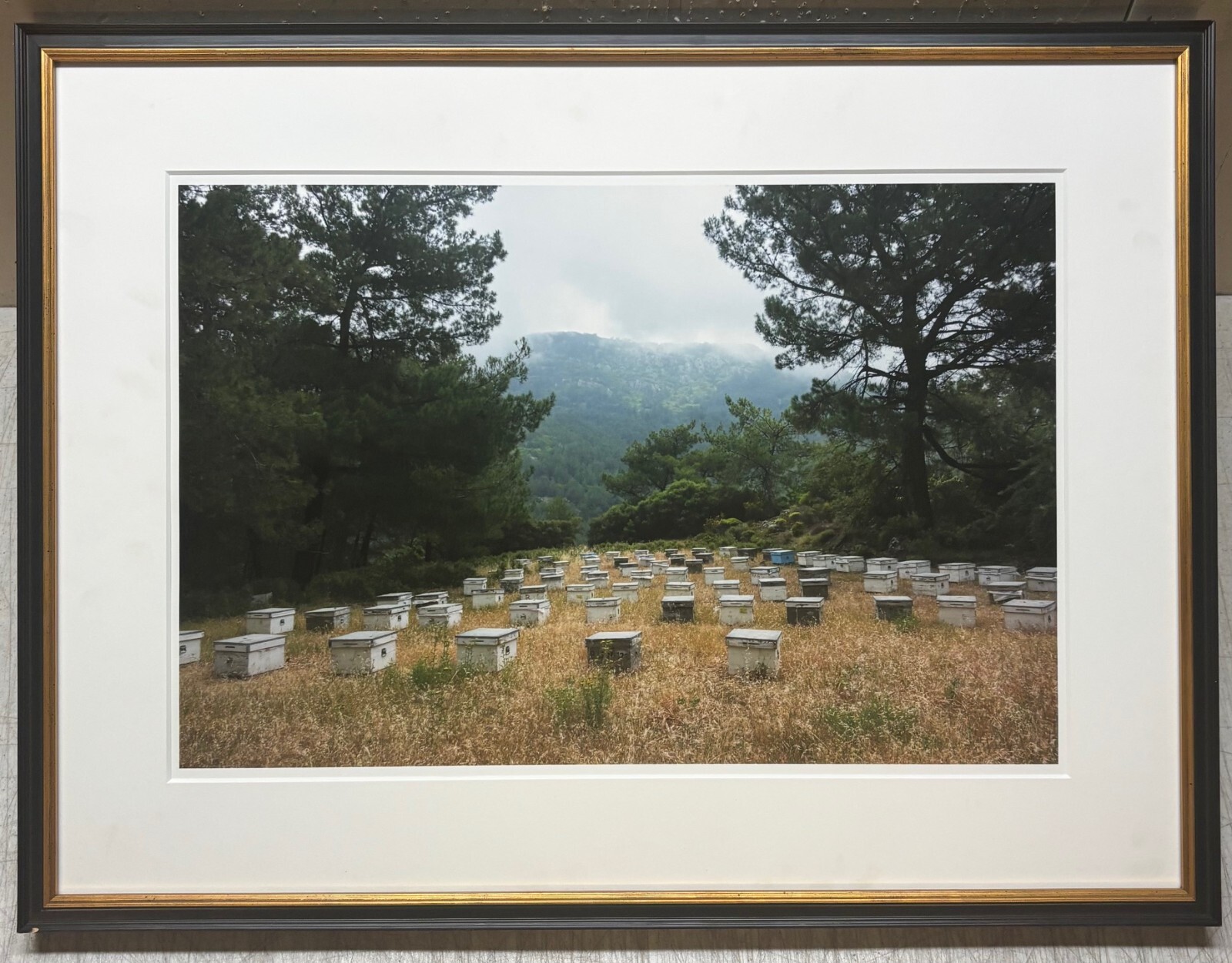 Vintage 2018 SUSANNAH HAYS ‘Bee Boxes Hives’ Datca TURKEY Landscape PHOTO