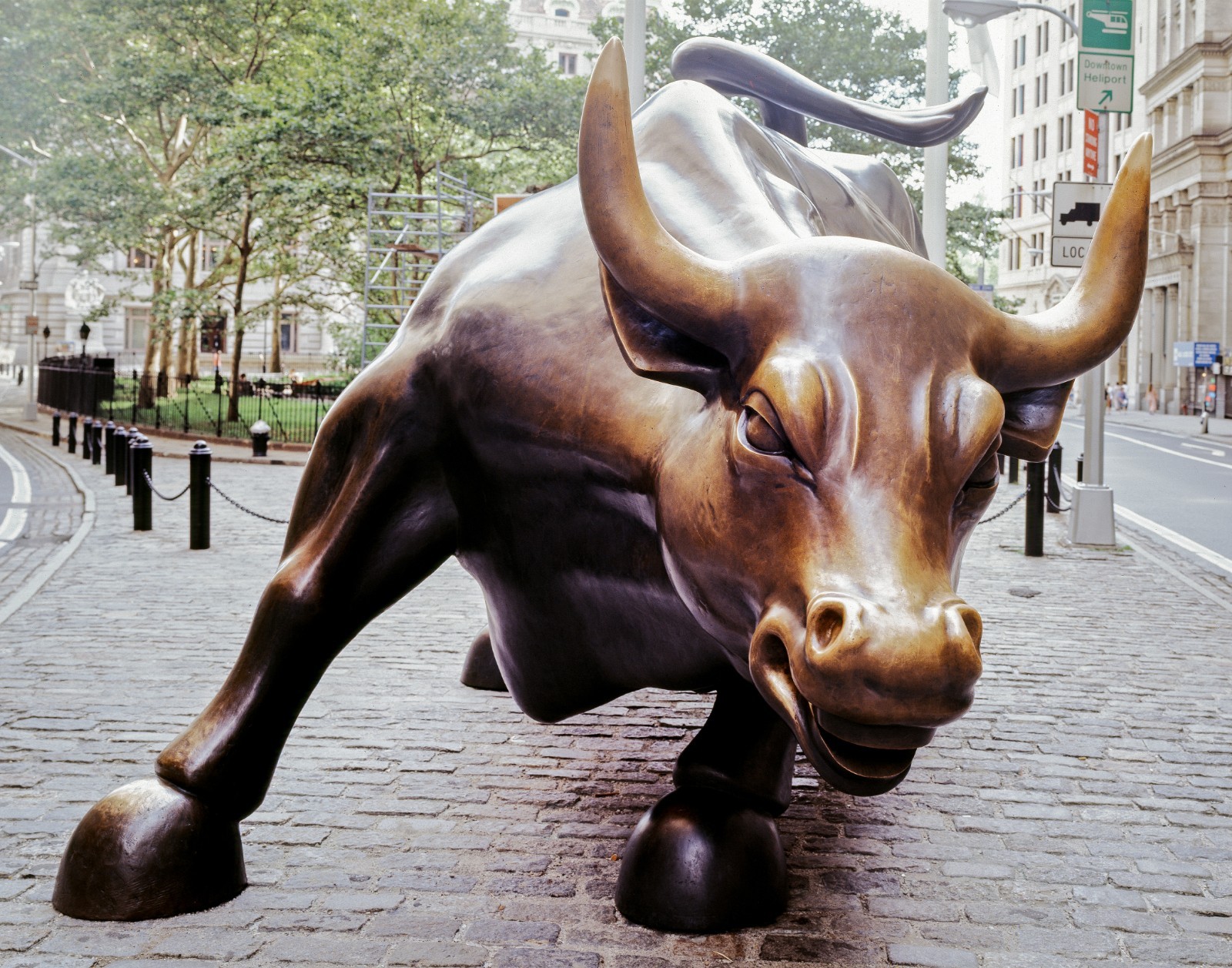 Wall Street charging bull in New York 11″x14″ Photograph Print 11×14