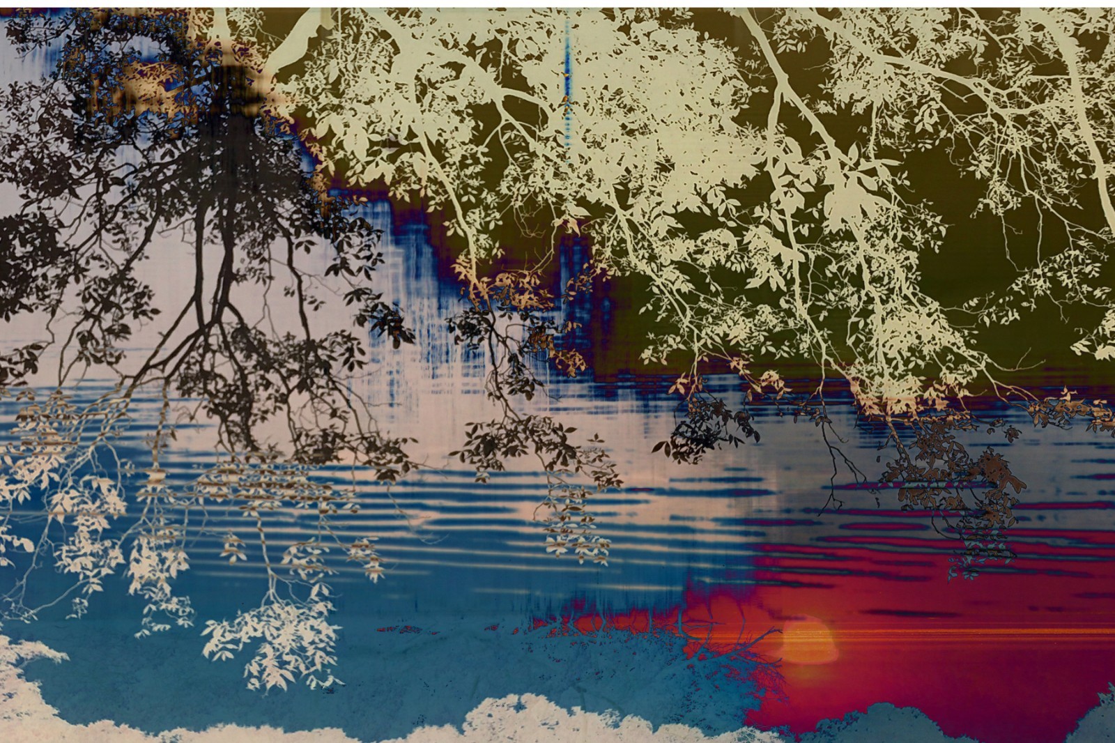 Original fine art photographic print – Fractalization 8×12 inches