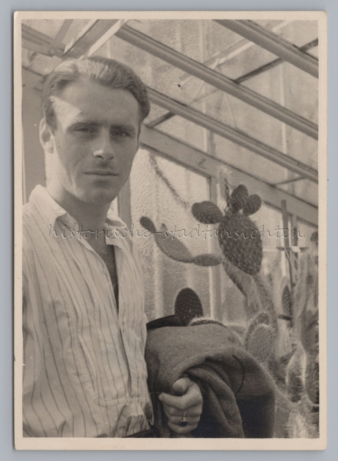 Munich 1949 – Young Man in the Botanical Garden – Old Photo 1940s