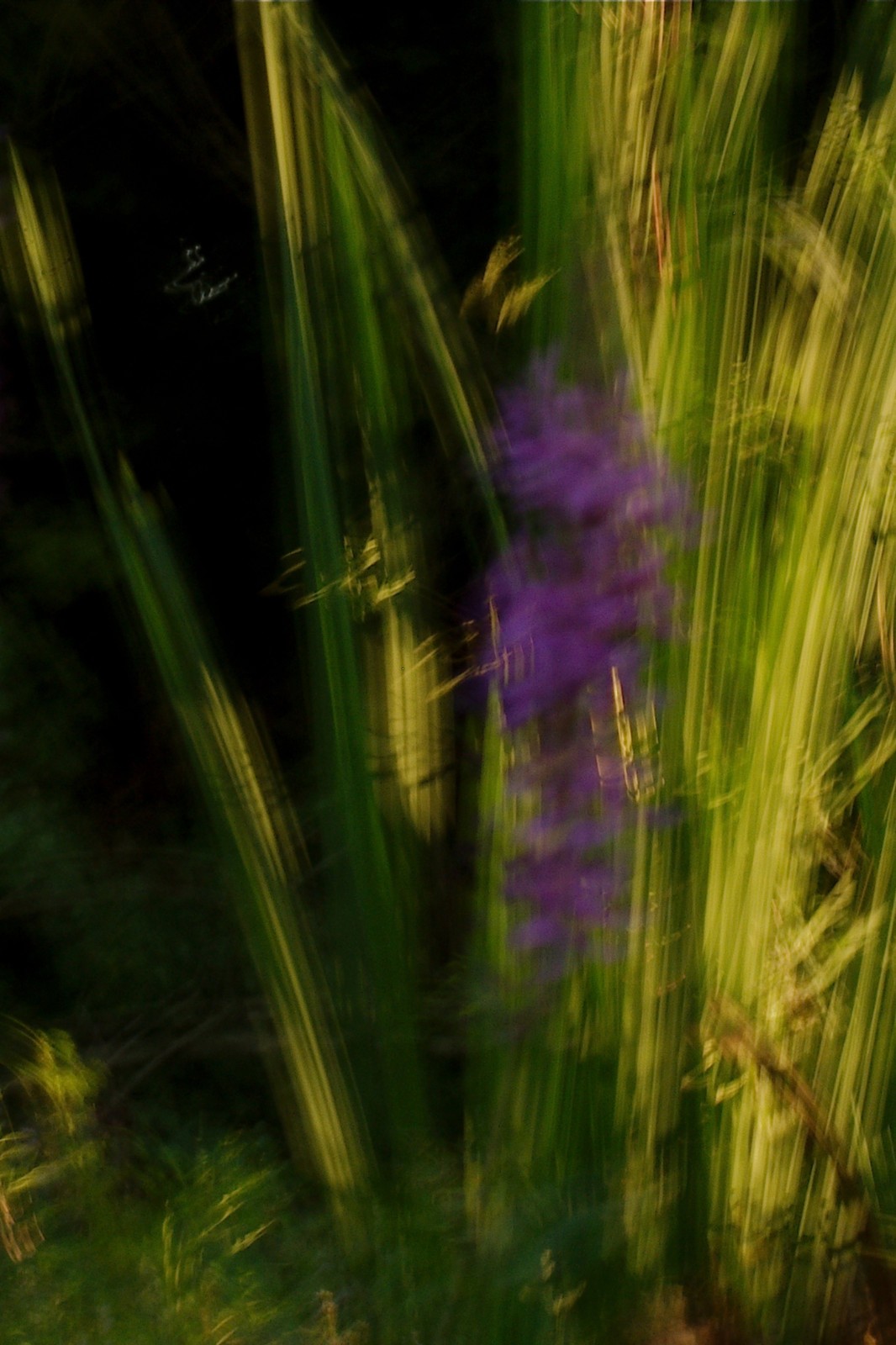 Digital photo, BREEZE, horizontal+vertical