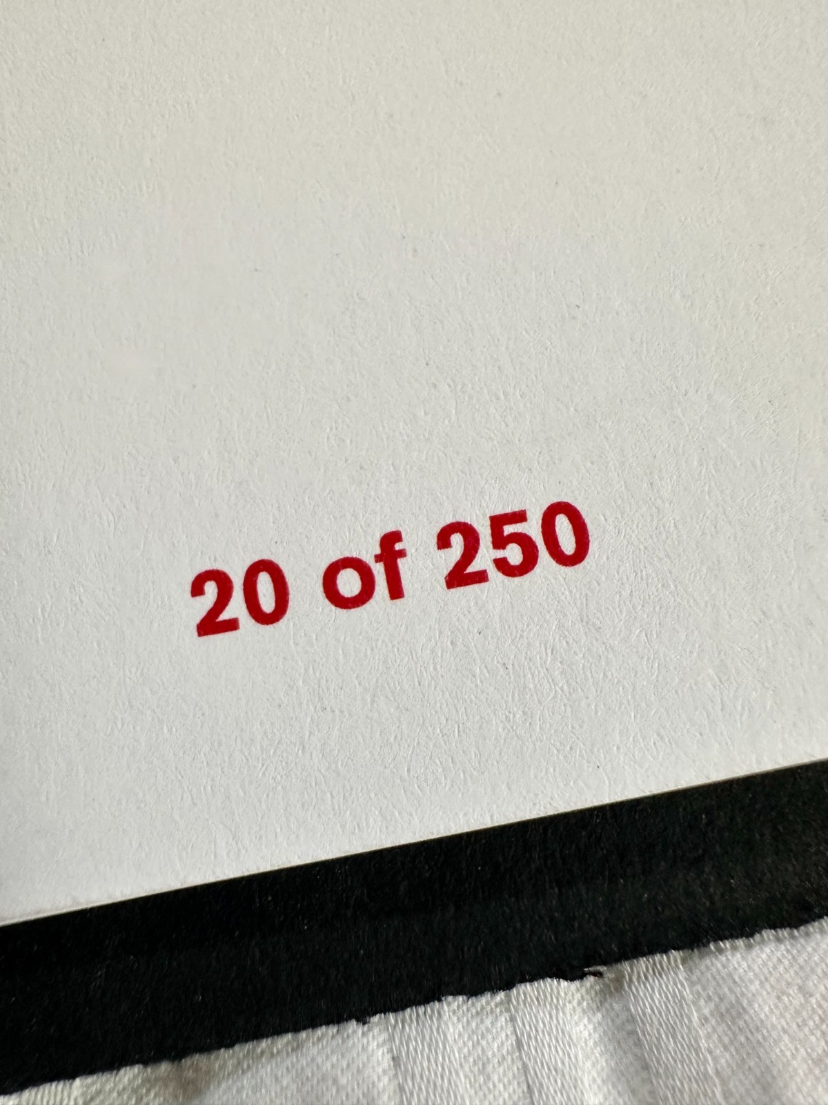 Emily Ratajkowski Photo Book 2015 LTD #20/250 Signed