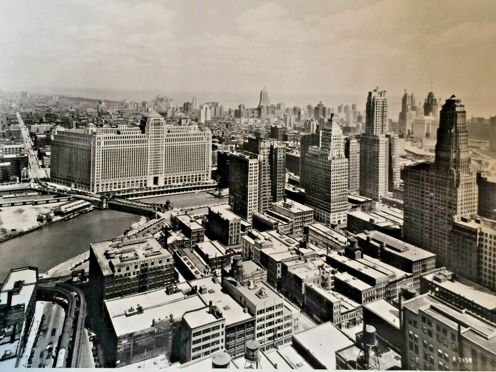Chicago Photo “Skyline” 8 X 10 Circa 1950 Silver Gelatin Hedrich Blessing Attr