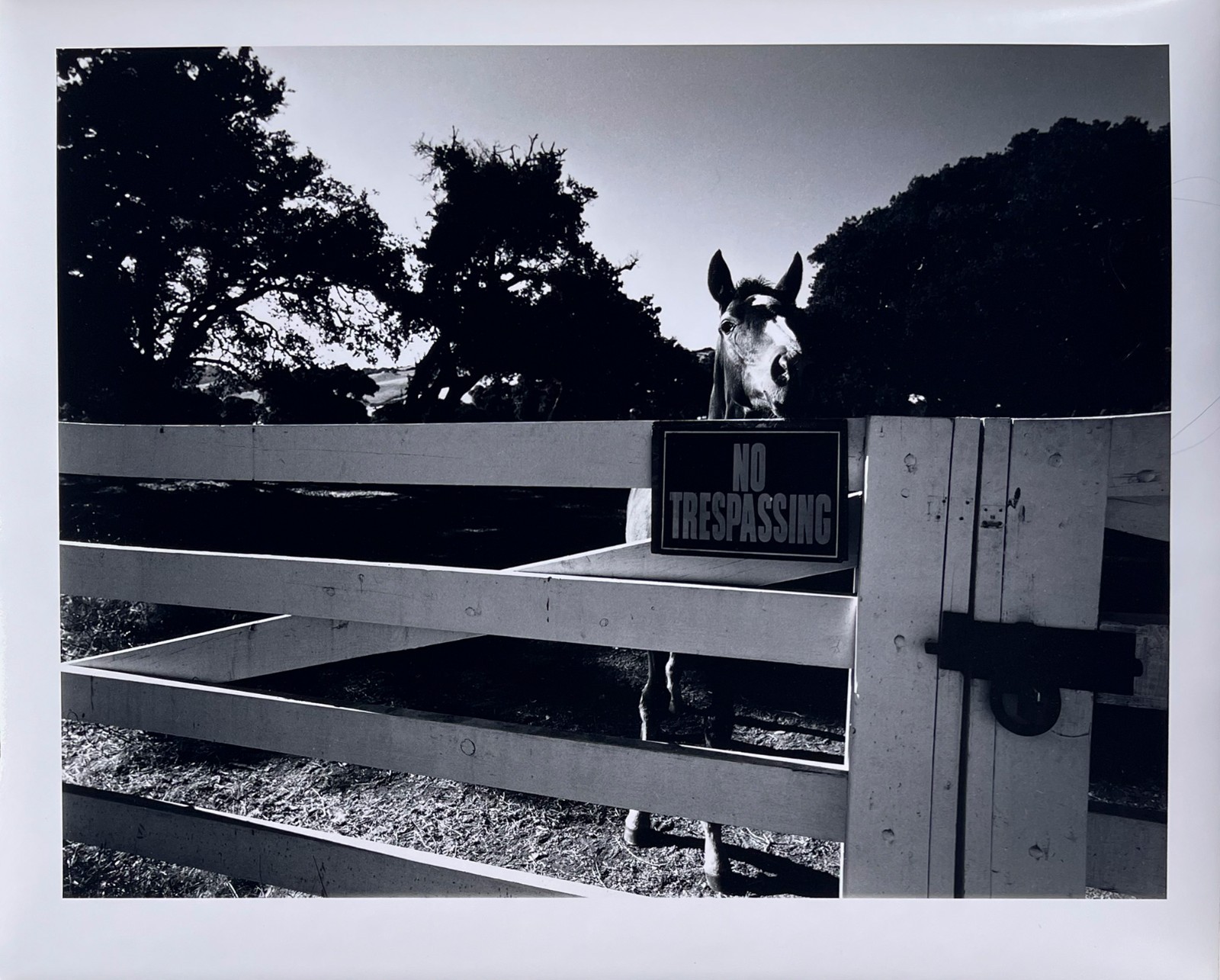 Wolf Von Dem Bussche – From The Peaceable Kingdom c.1971 (LHi01)