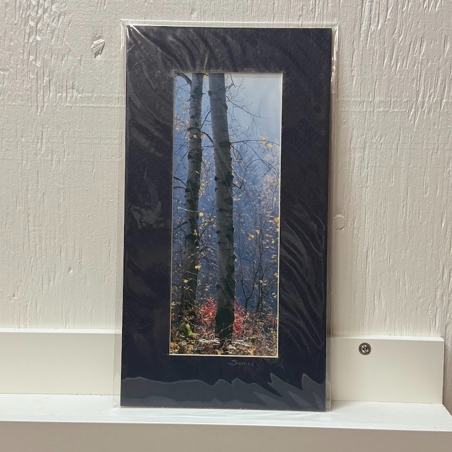 Signed Sherrill Photo Fall Color Aspen Trees – CHOOSE MAT COLOR – Rooster Rock