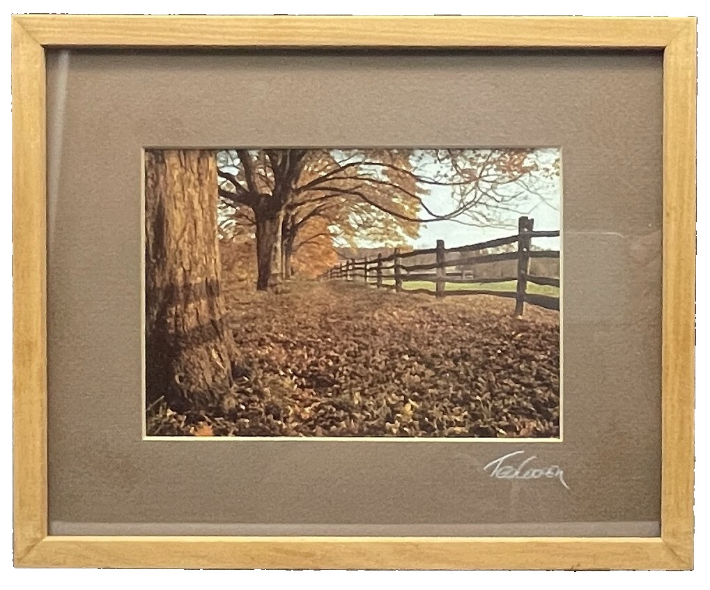 TED COOPER Landscape Nature Photograph, Hand Signed Framed Matted Acclaimed