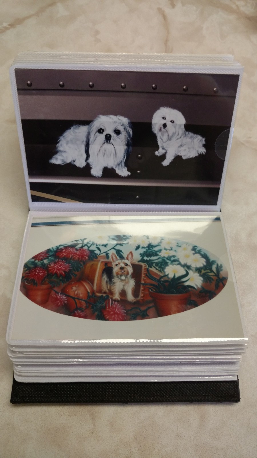 RV Art 100 Page Photo Album Portfolio Pinstriping Motorhome Airbrush Murals Gift