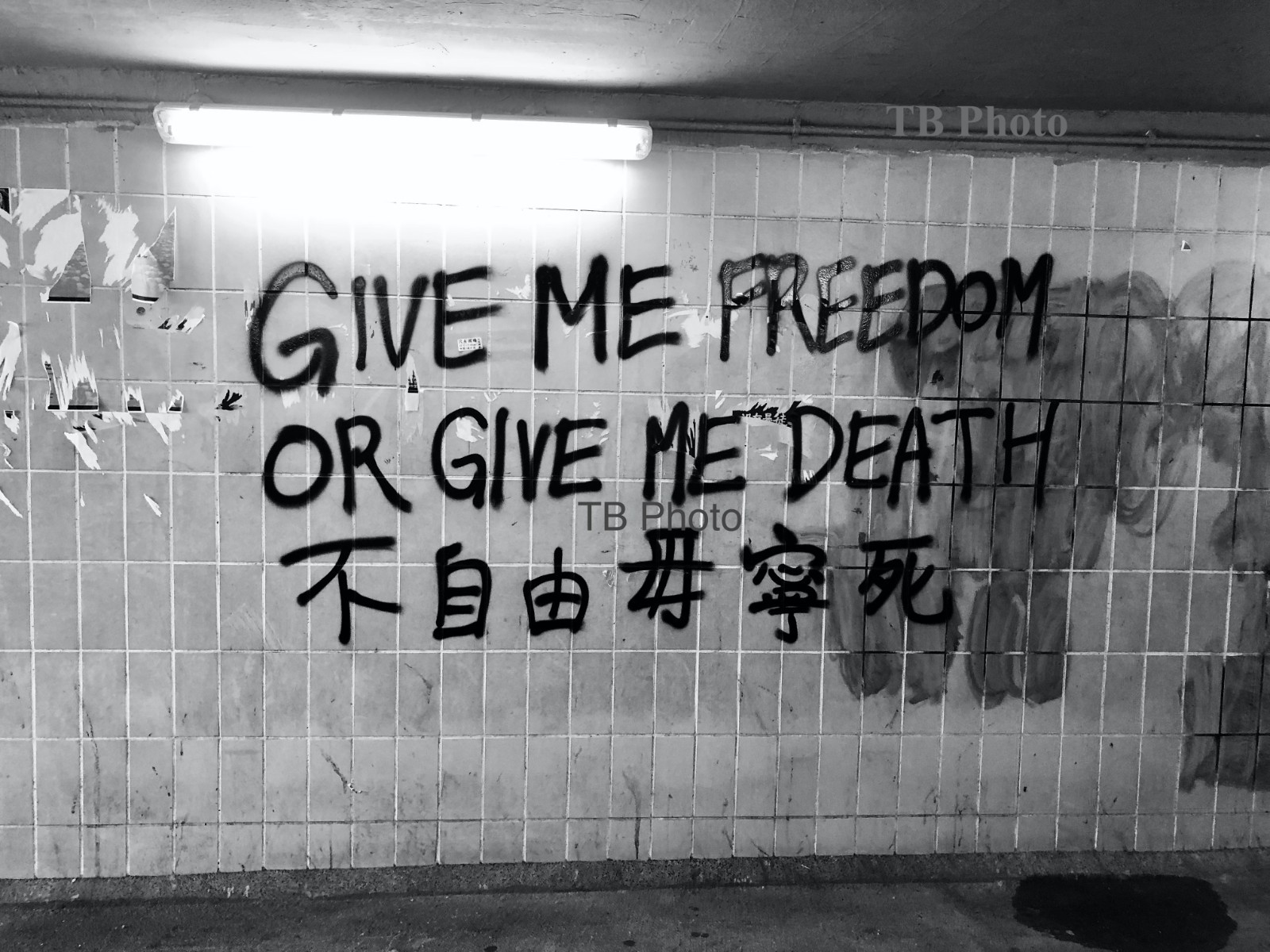 B/W Photograph: Hong Kong China “Give Me Freedom” 8×10