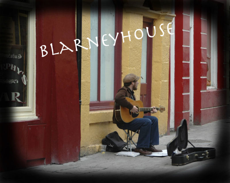 IRISH STREET MUSICIAN 8 x 10 Photo IRELAND!