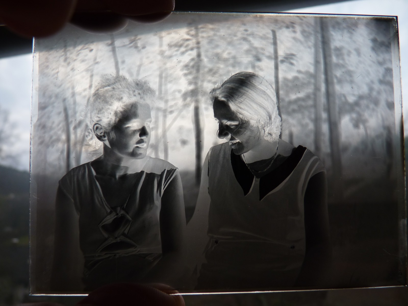 Glass plates negative around 1930 1933 Marburg young man family musicians trio