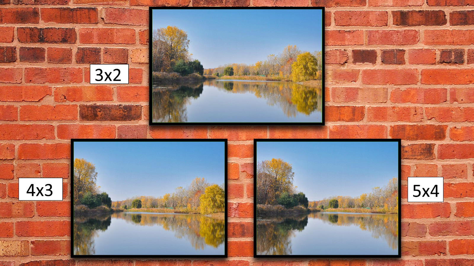 Fall Trees Water Reflection, High Resolution Image, Many Formats, TV Art