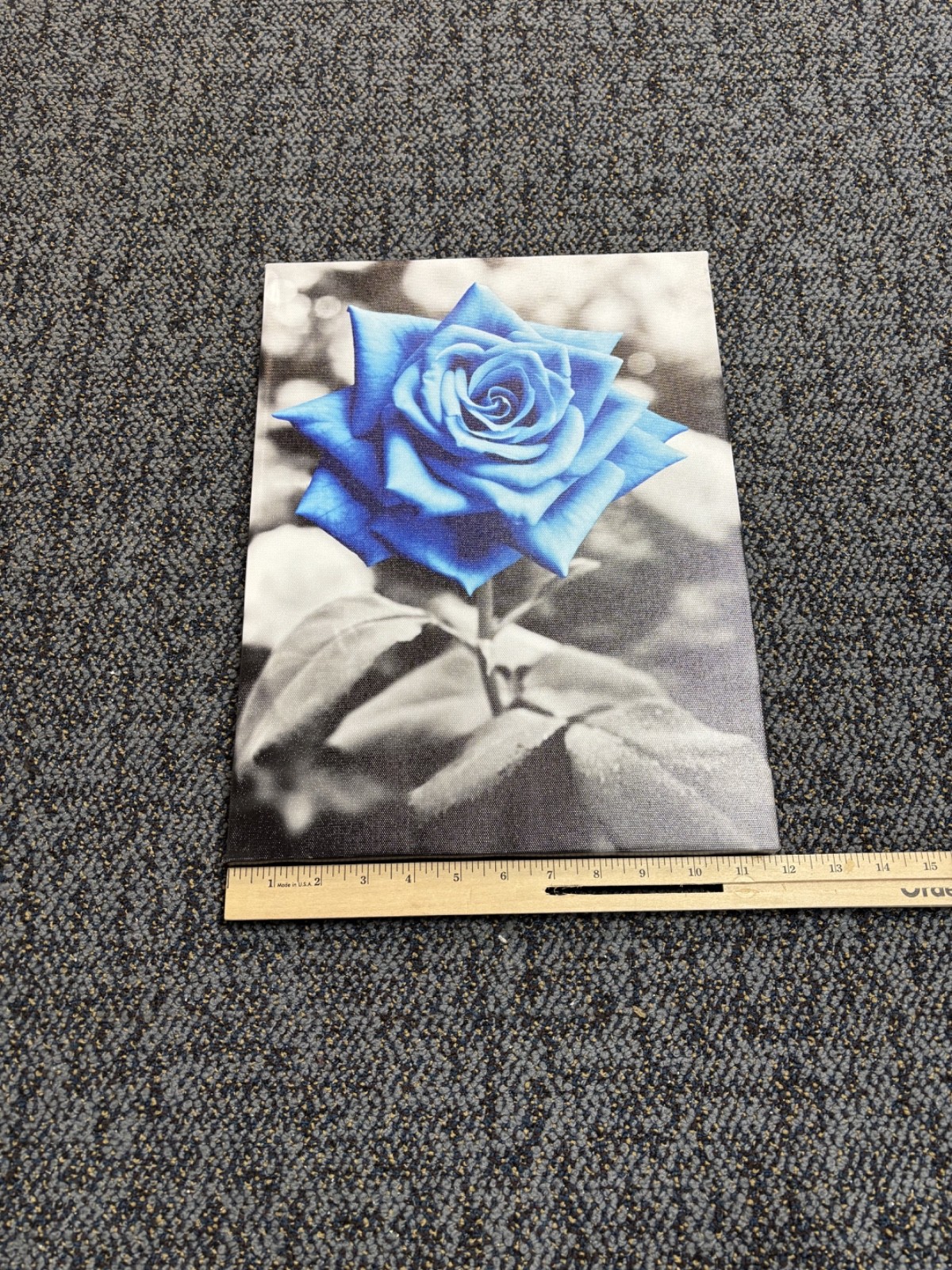 12 in x 16 in Blue Rose Photo Framed 1