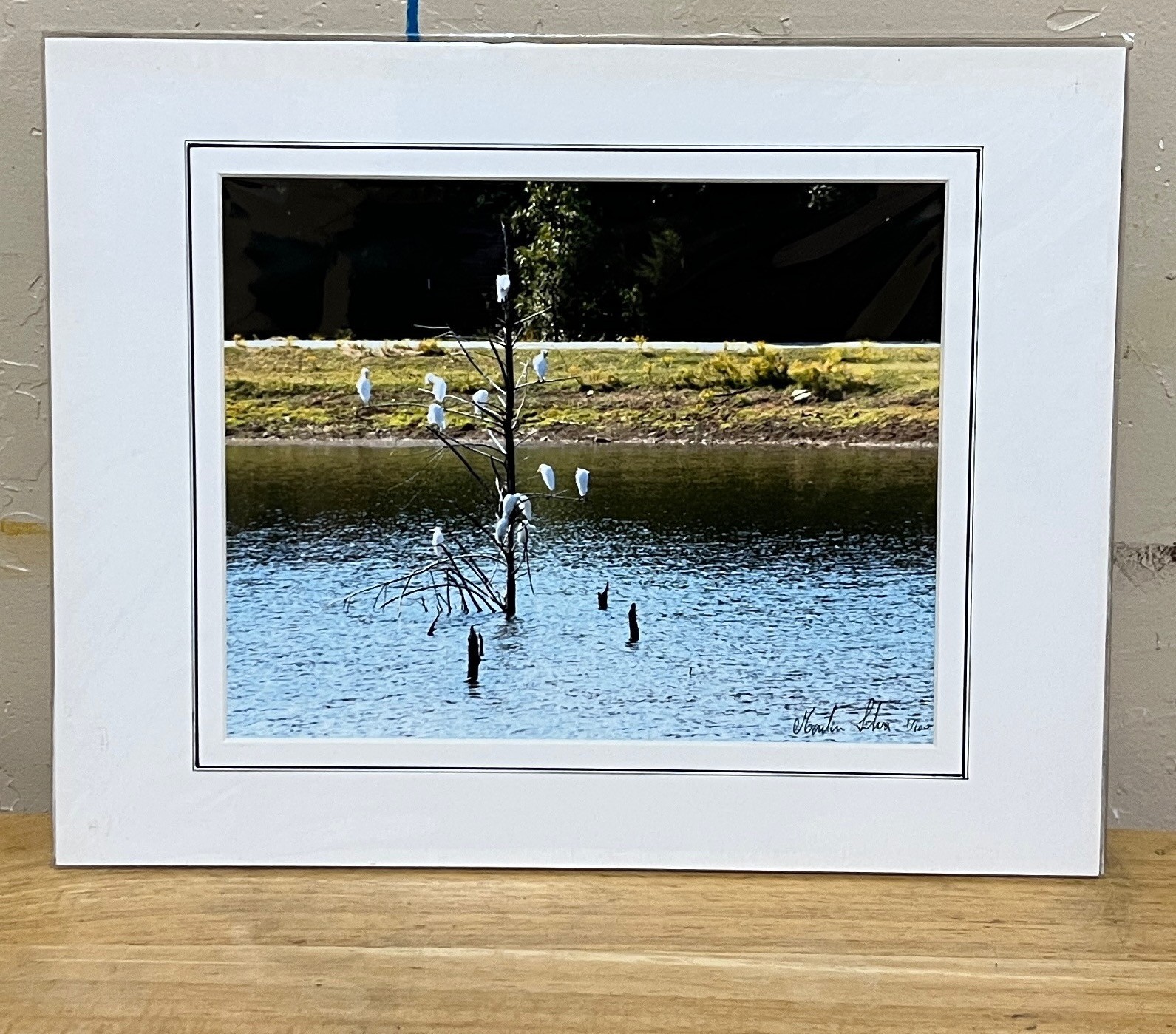 Color photograph signed matted 1 1 x 14 inch birds on pond Texas country