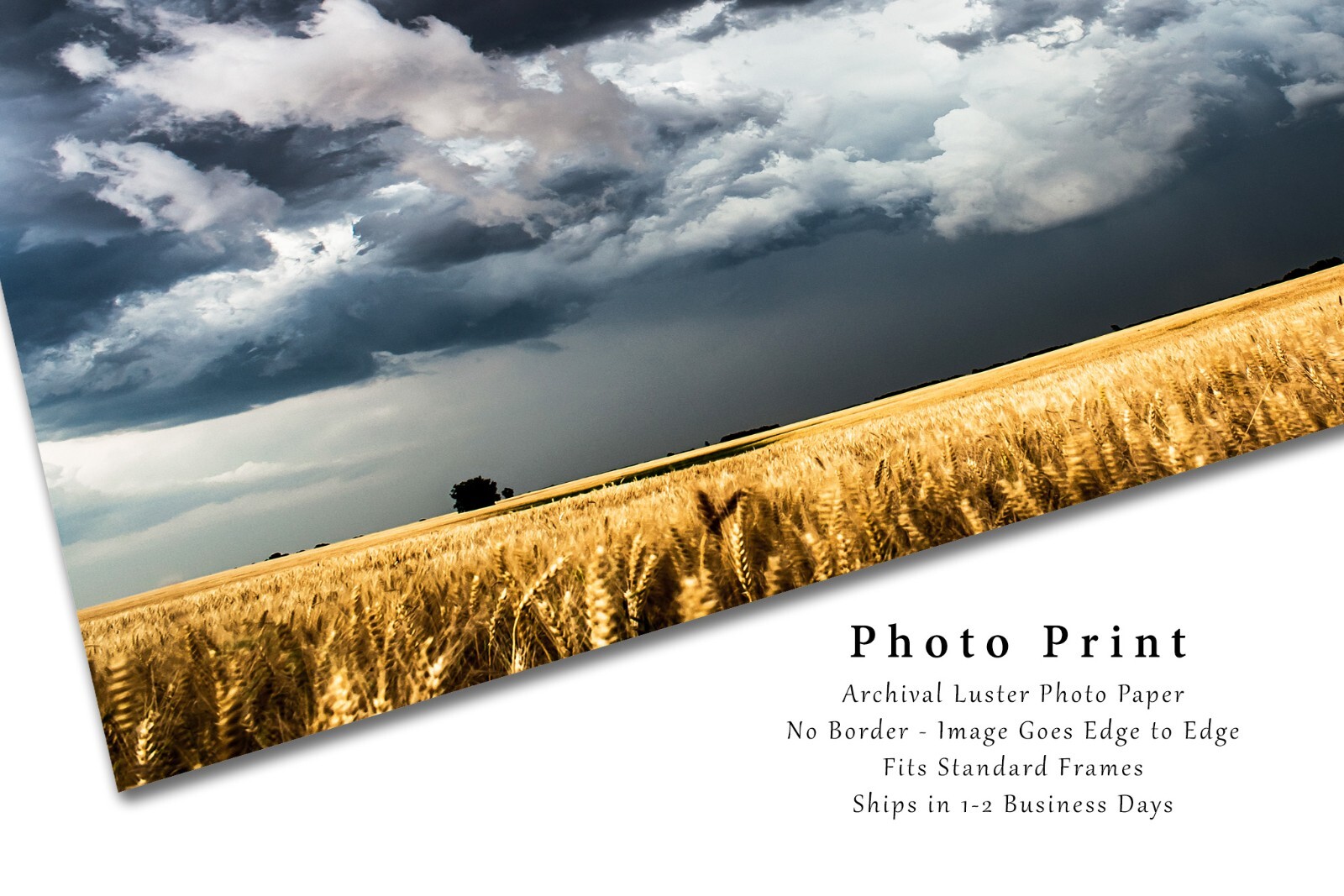Country Photography Print – Picture of Storm Clouds Over Wheat Field in Kansas