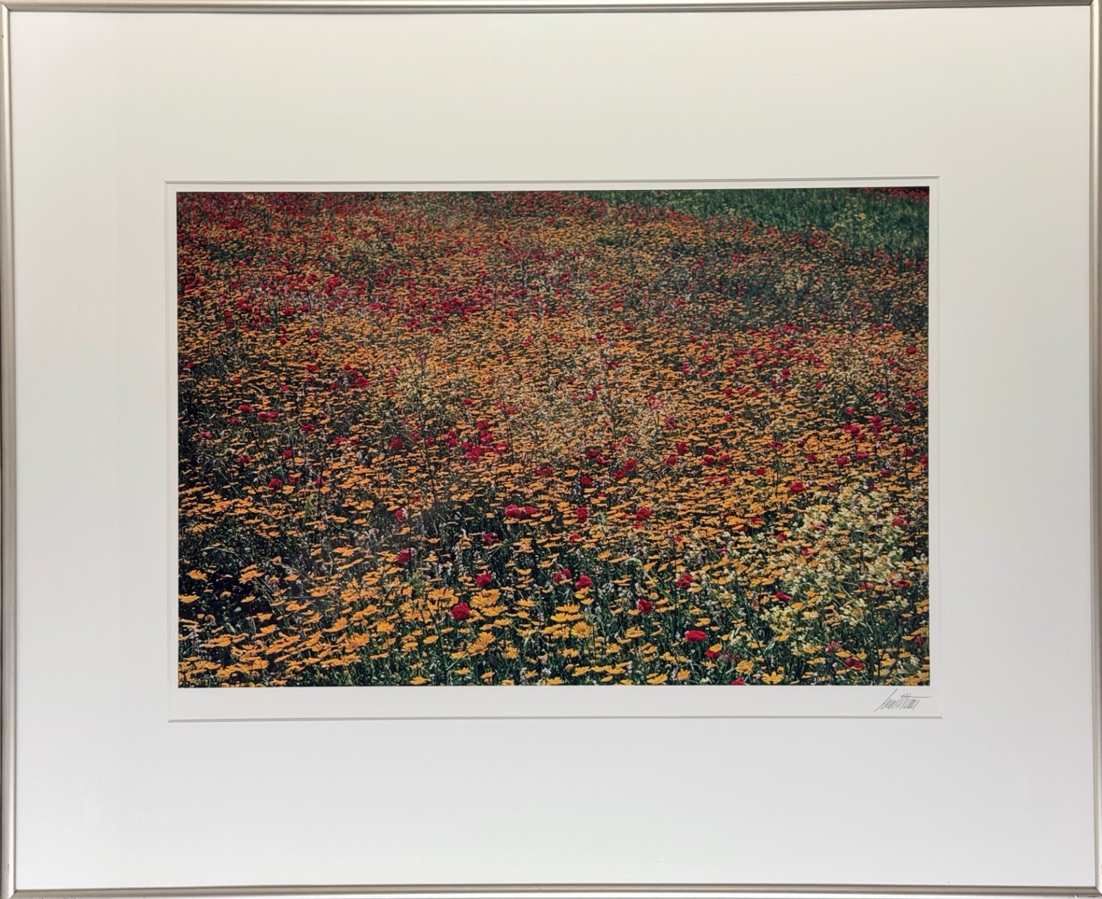 Ernst Haas “Flowers” Photograph